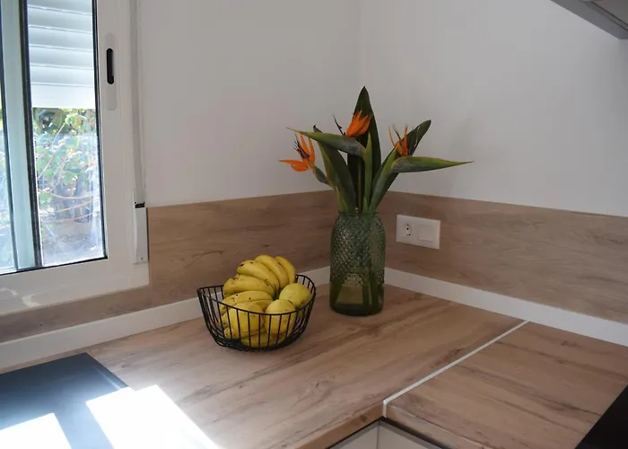 Chicho's Apartament La Guancha